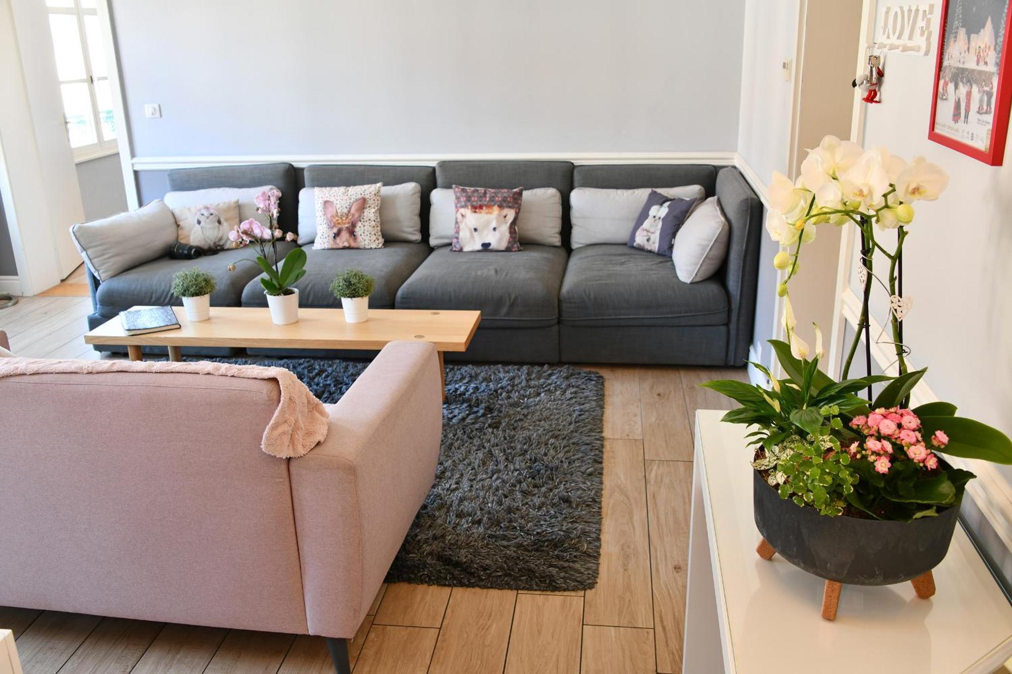 Appartement The Fairytale - Petite Venise Colmar Dış mekan fotoğraf